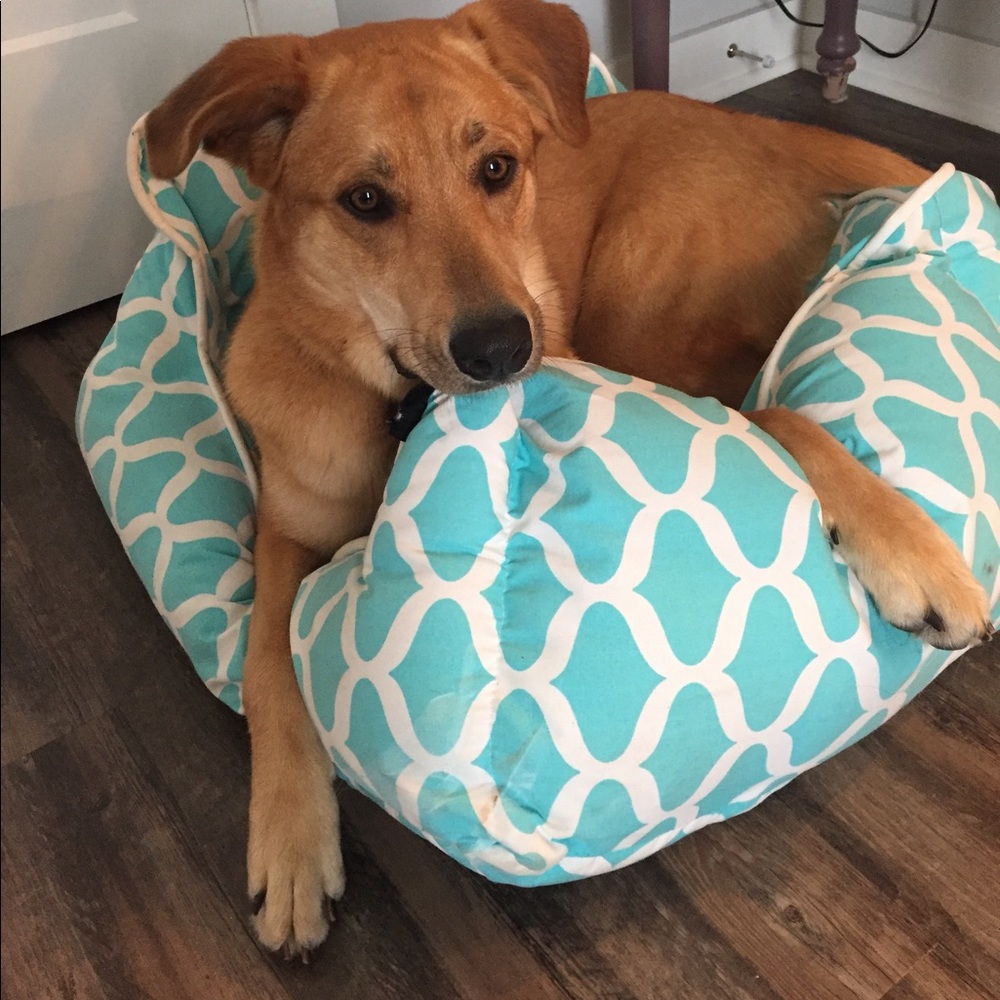 Meet your Posher, Leslie